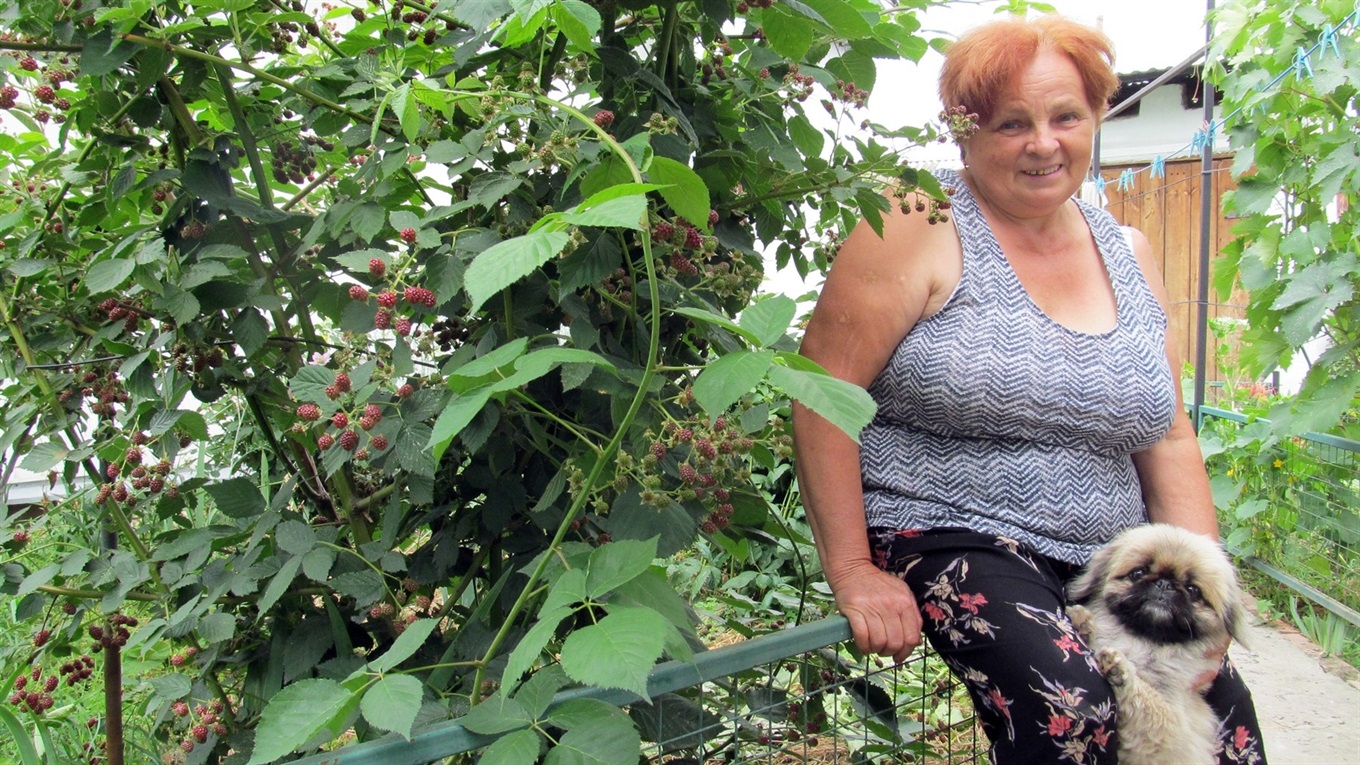 Як створити на своєму обійсті райський куточок. Досвід менянки Ганни Лях