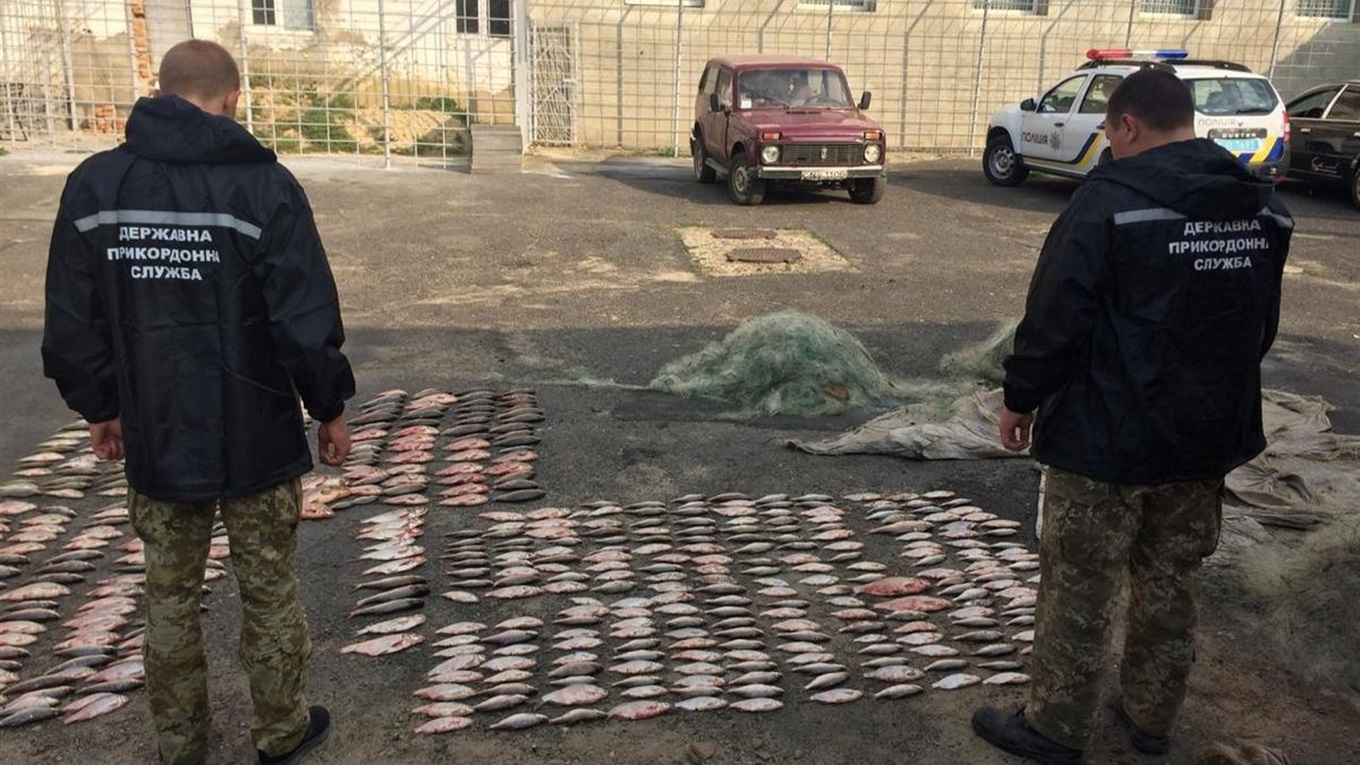 500 рыб на 50 тысяч гривен: на озере Ялпуг задержали браконьеров