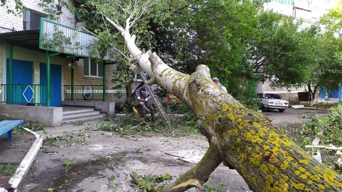 Як у Волноваському районі ліквідували наслідки буревію. Фото