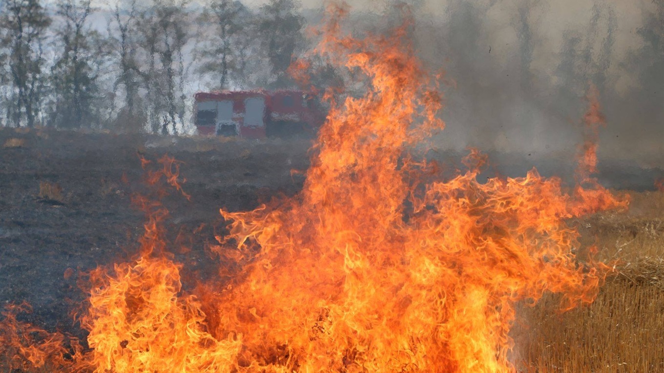У Волноваському районі ліквідували масштабну пожежу. Фото