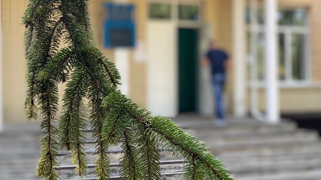 Чому поліцейські перевіряють сільські та селищні ради Волноваського району  на наявність вибухівок 