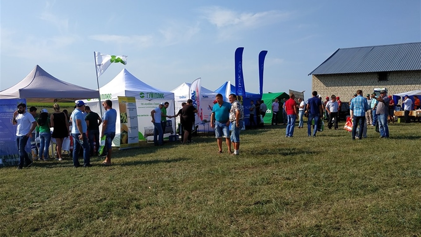 Більше ста п'ятдесяти гібридів соняшника та кукурудзи презентували на троїцьких ланах 
