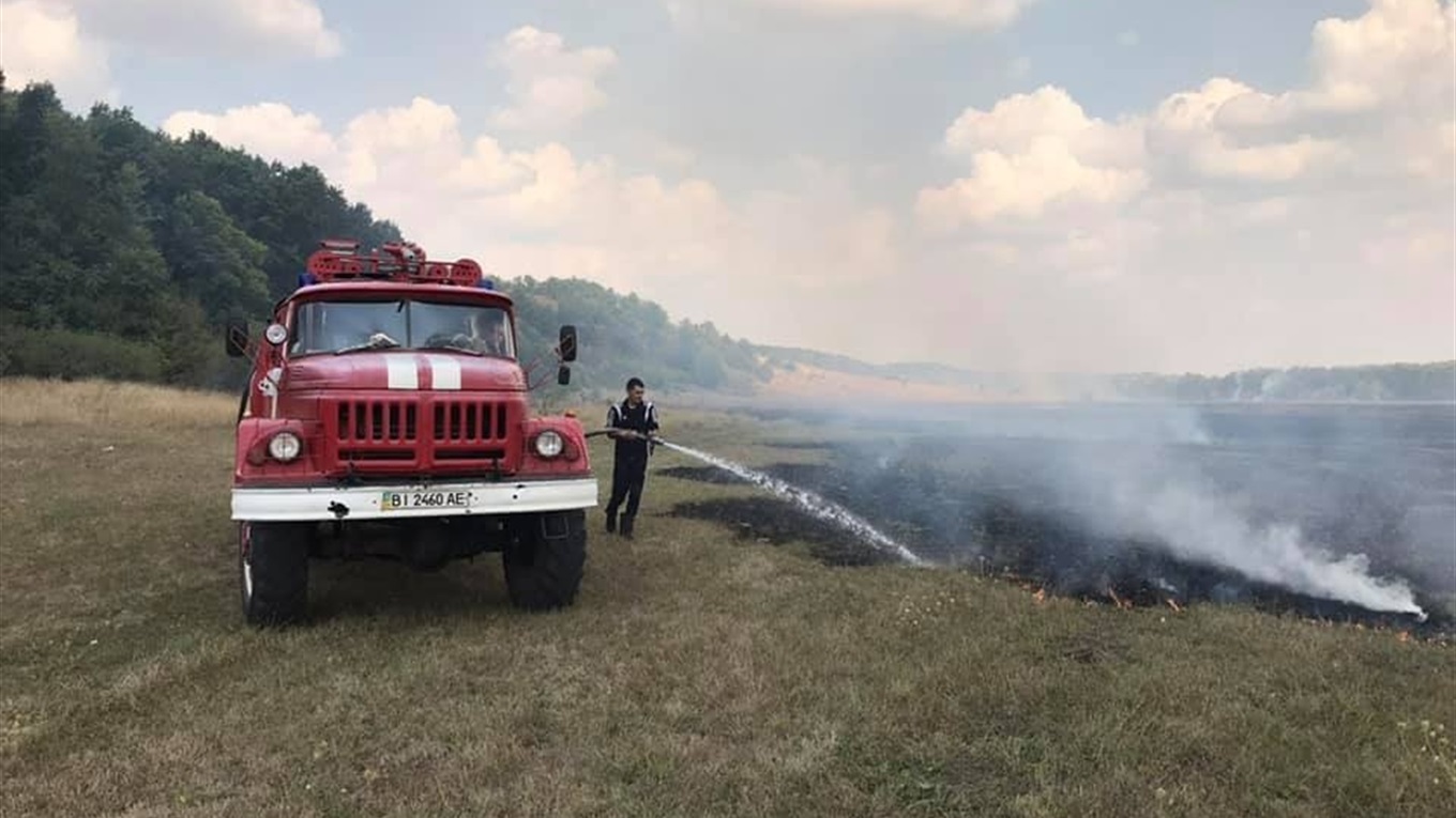 Палали луки під Плішивцем 