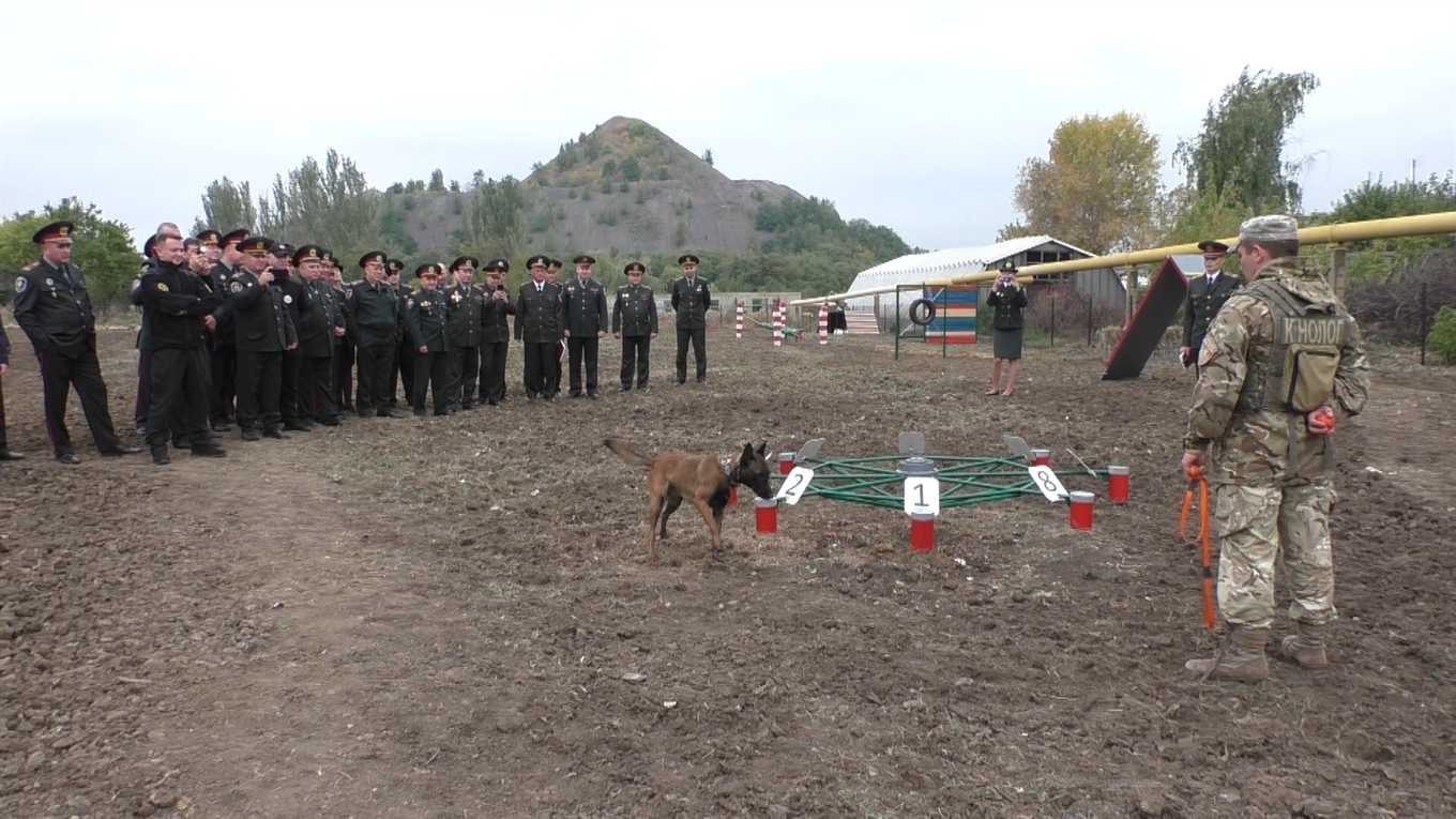  В Торецкой исправительной колонии провели показательные учения с участием собак