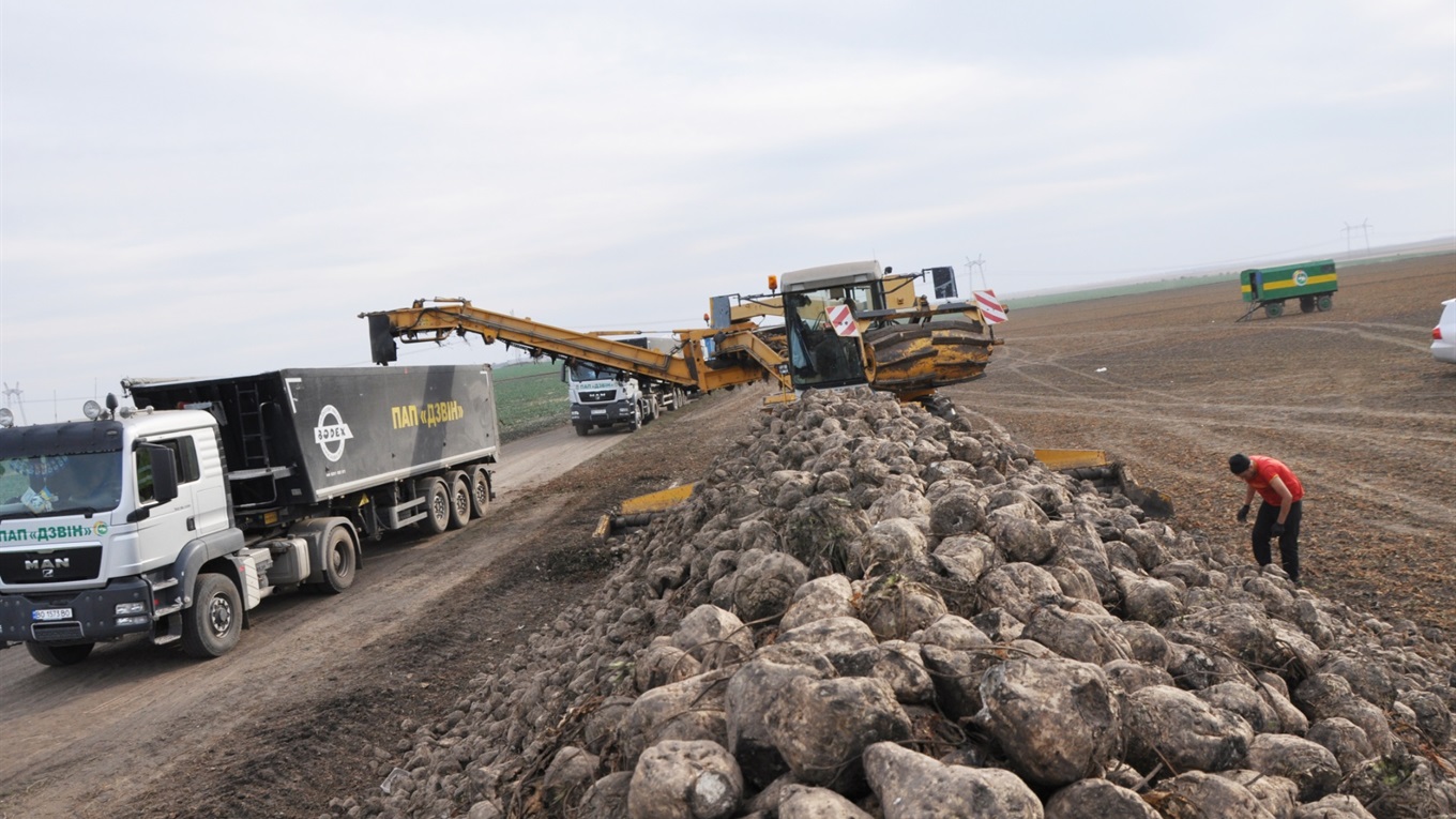 Як осінь у «Дзвоні» господарює: хліб засіває, озимину пестить та цукрові буряки копає (+відео)