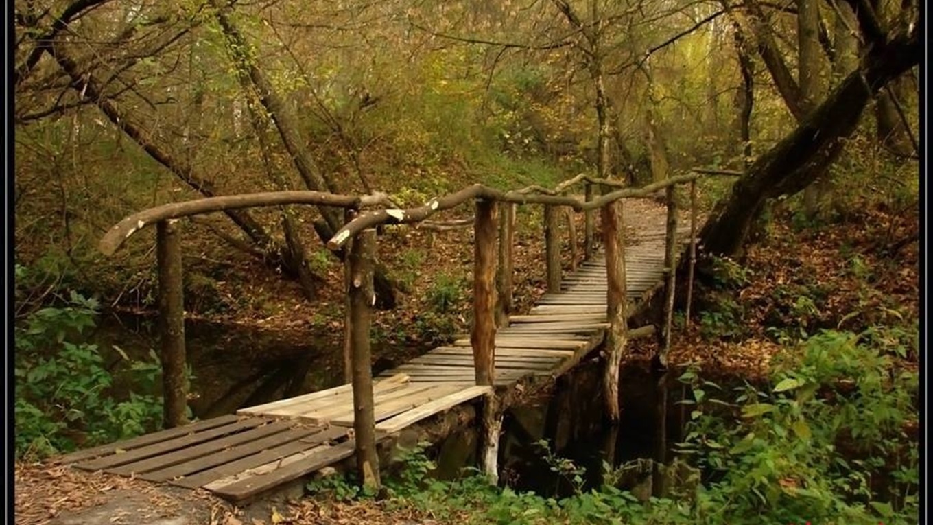 Білопільщина крізь фотооб’єктив Миколи Зарка