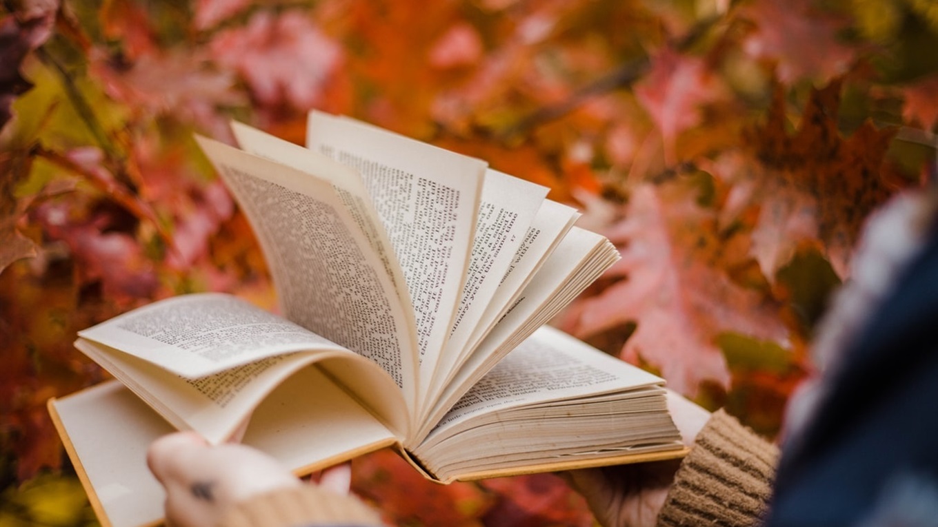 «Книжковий Миколай»: фестиваль вчетверте відбудеться в Херсоні