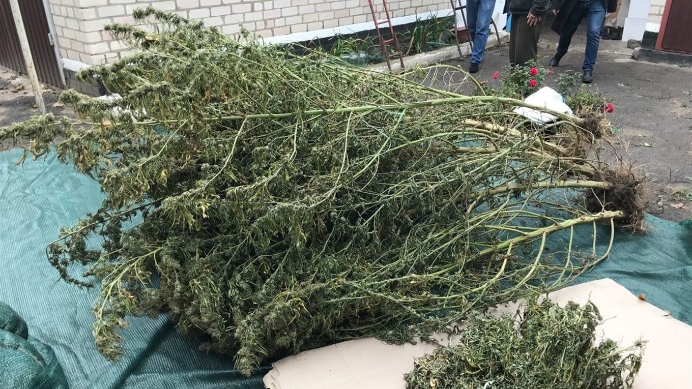 На Сірогозщині поліцейські вилучили 22 кілограми канабісу на понад 1 мільйон гривень