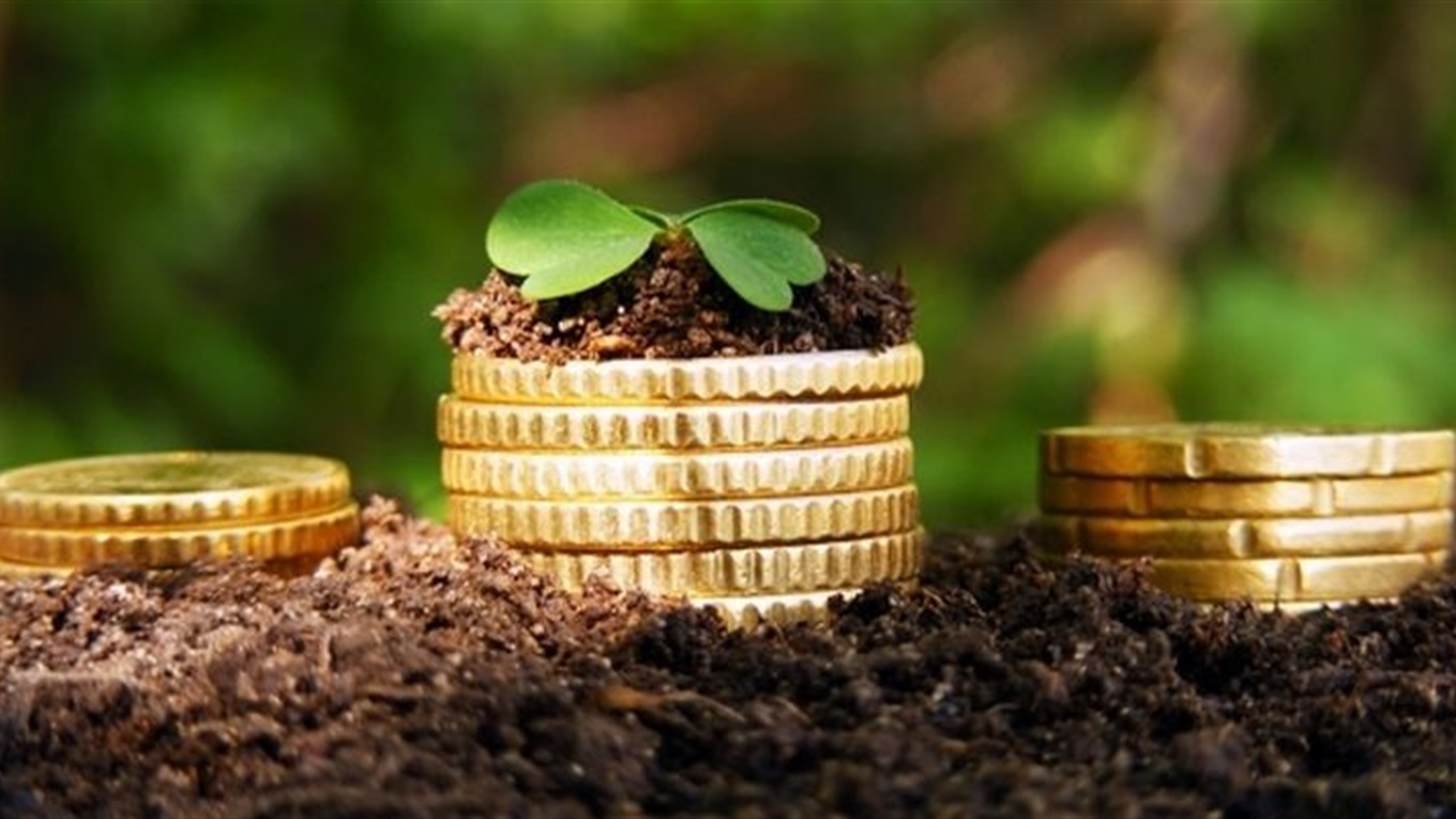 Хочете продати свій пай або землю? Перевірте спершу, чи є ваша земельна ділянка в електронній базі!
