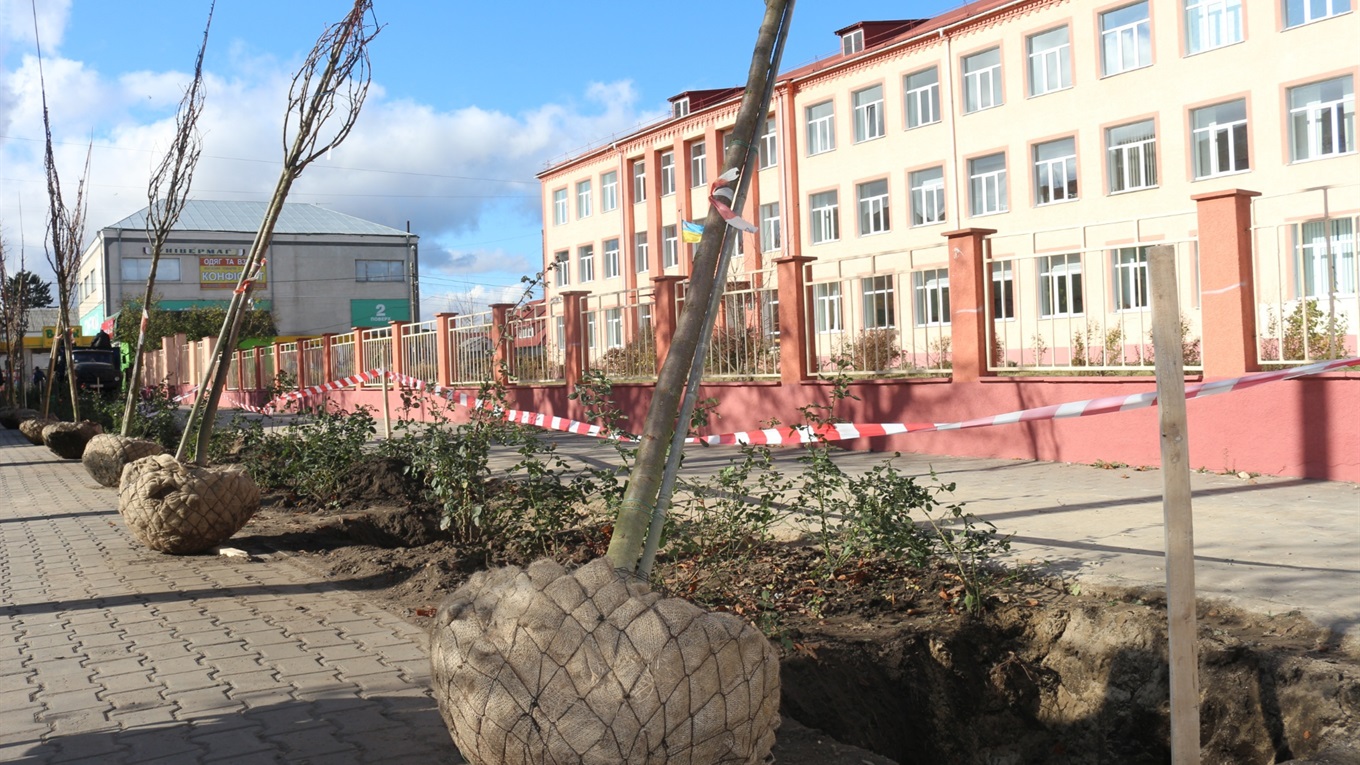 У Старокостянтинові висаджують сакури. Навесні вони можуть зацвісти