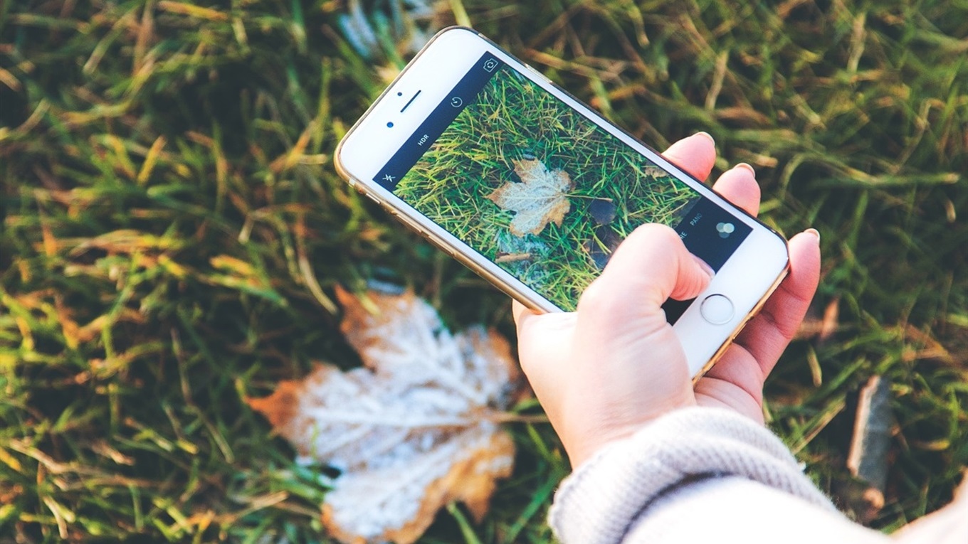 Осінь очима первомайців: 10 яскравих фотографій з Instagram