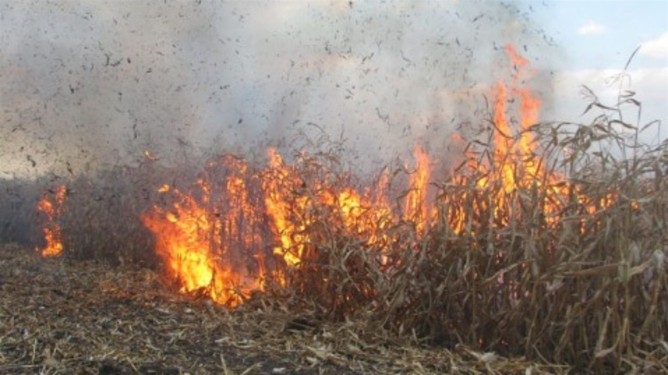 На Білопільщині рятувальники гасили пожежу на кукурудзяному полі