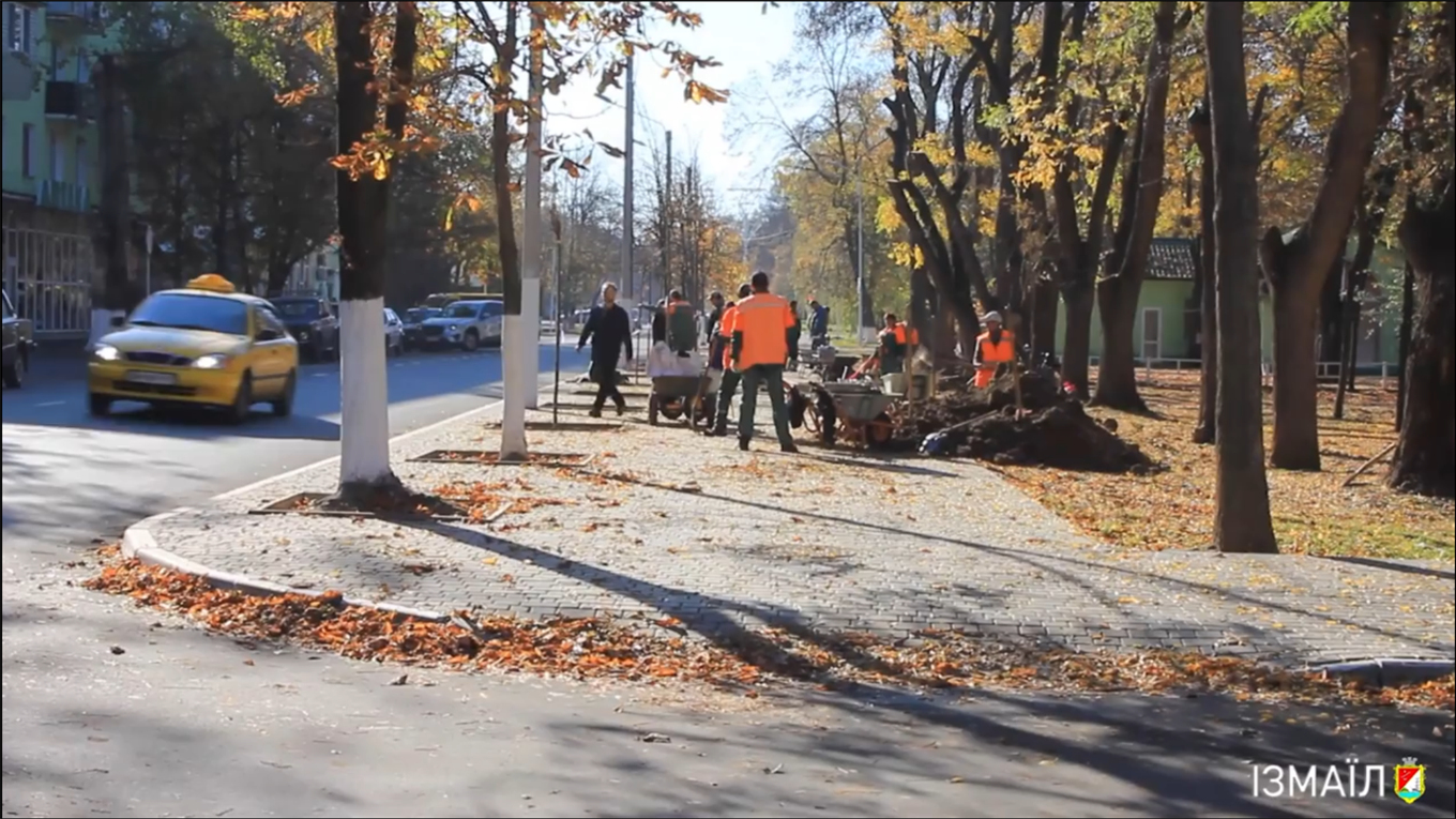 Измаил экспериментирует: в городе впервые высаживают катальпу 