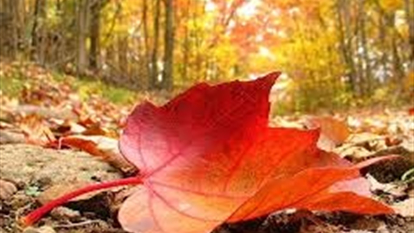 На Херсон насувається осінь