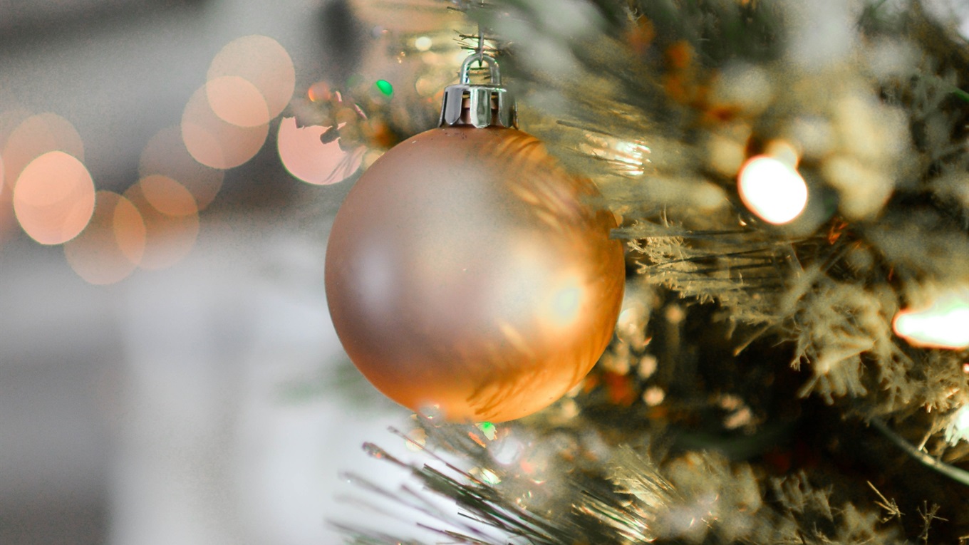 Чи збулися ваші плани на 2019-й? Розповідають волновасьці