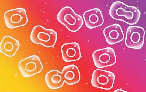 5 конотопських блогерів в Instagram, які мають всі шанси стати інтернет-зірками