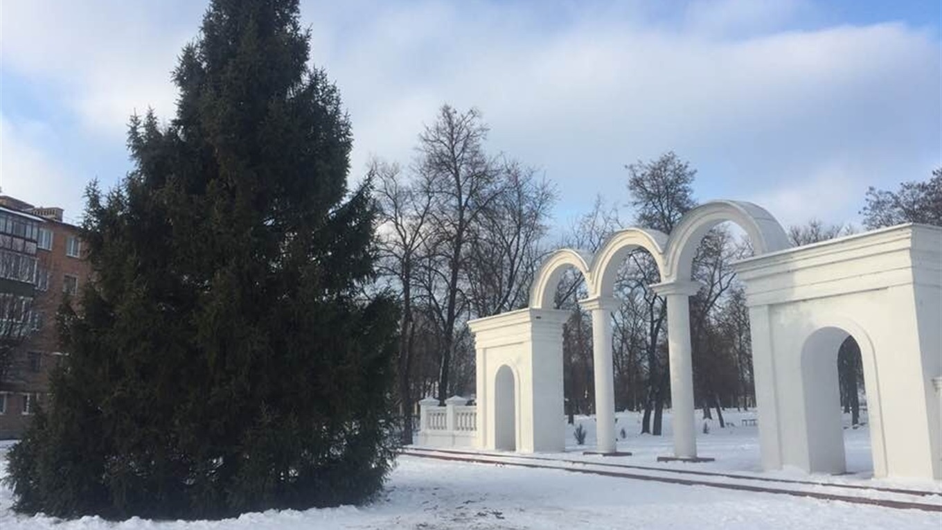 В місті встановлено новорічну ялинку: чим вона особлива?