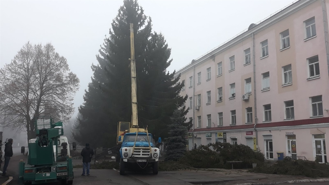 "Було кілька причин це зробити". Офіційне пояснення Олексія Дикого щодо спиляних ялин