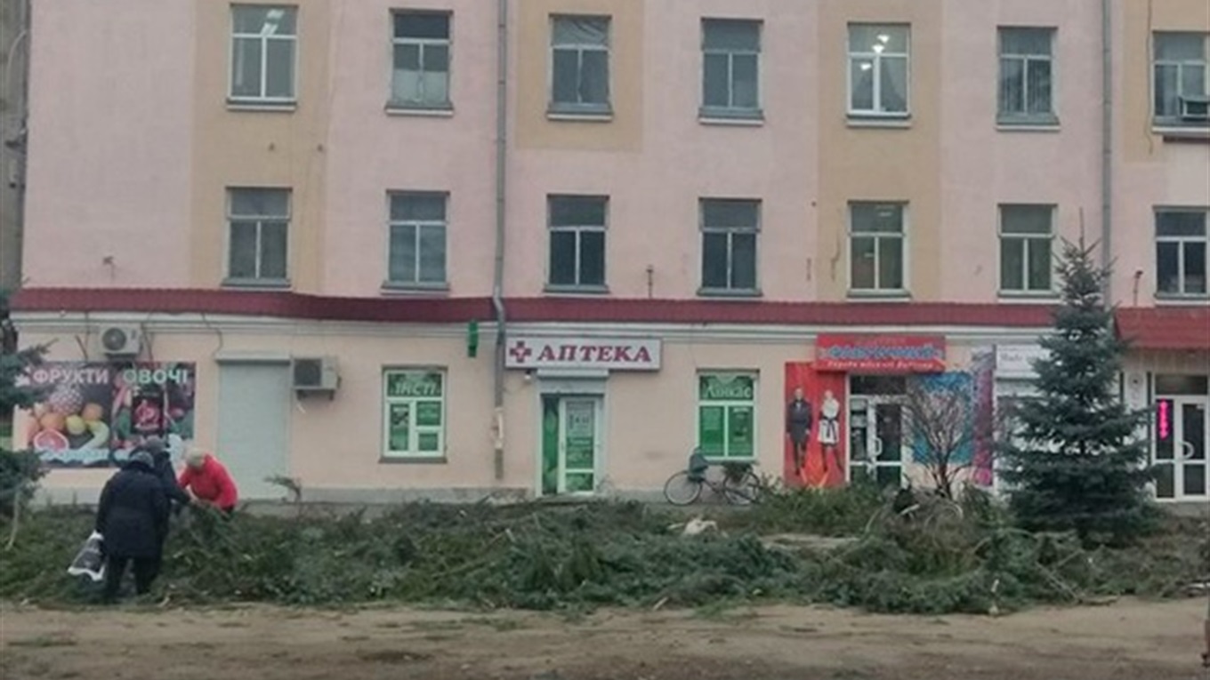«Я особисто садив одну із ялин». Віталій Іващенко прокоментував резонансу вирубку дерев у Переяславі