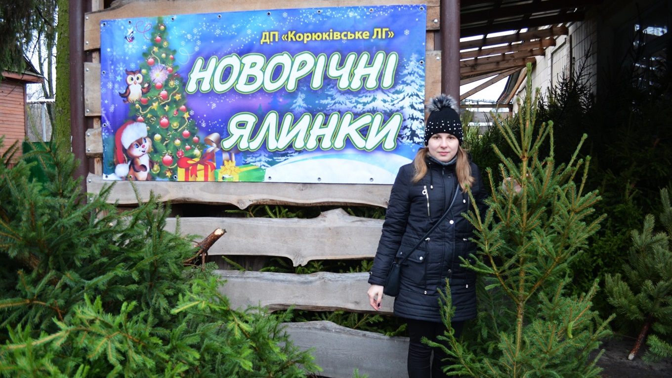У Корюківці ялинками торгуватимуть до 31 грудня