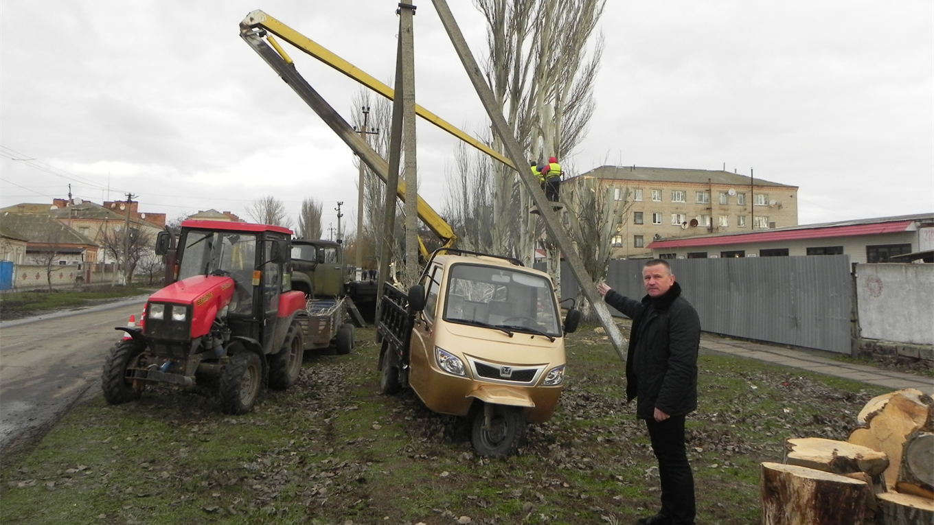 На улице Паркоммуны срезали тополя, мешающие пешеходам