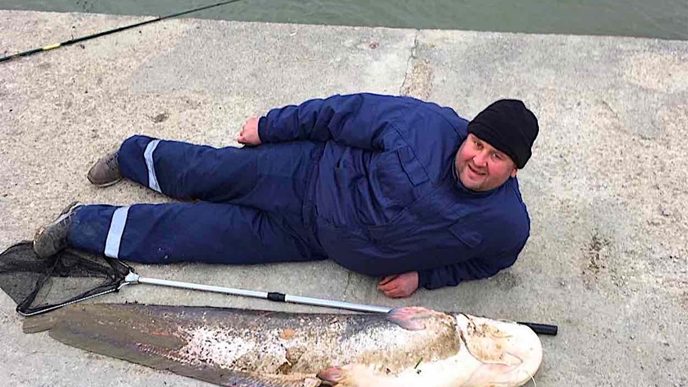 Как два кума возле морвокзала Измаила из Дуная сома голыми руками вытащили