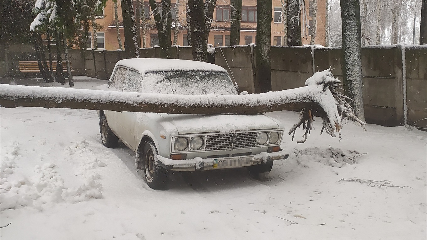 У центрі Мени через негоду дерево впало на автівку
