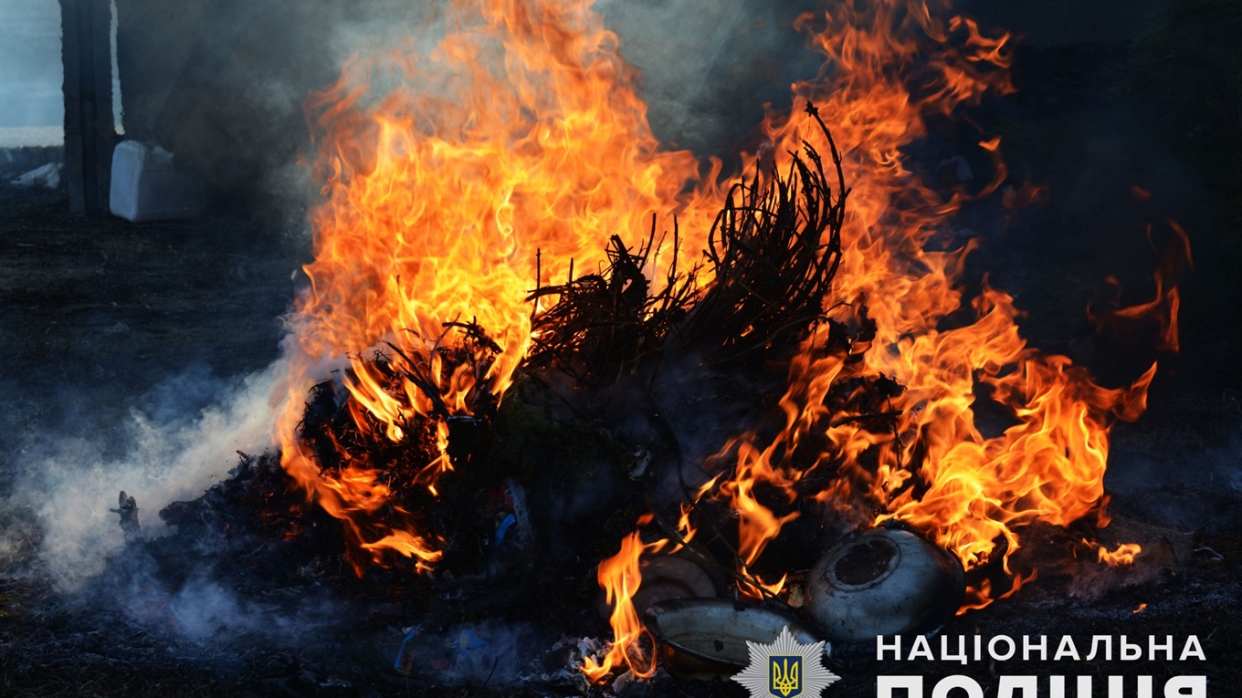 Волноваські поліцейські знищили наркотиків на пів мільйона гривень