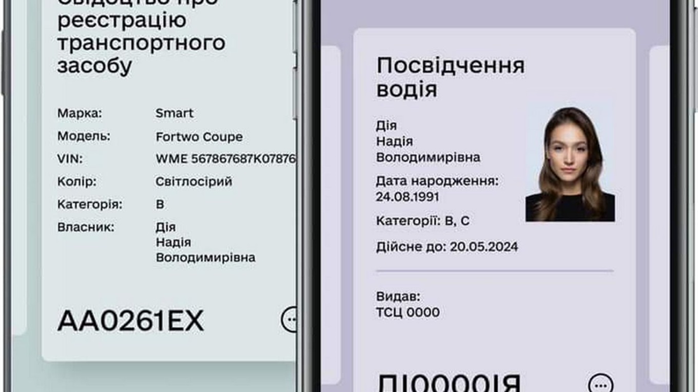 Мобильное приложение с цифровыми документами водителя "Дія" доступно в Измаиле (видео)