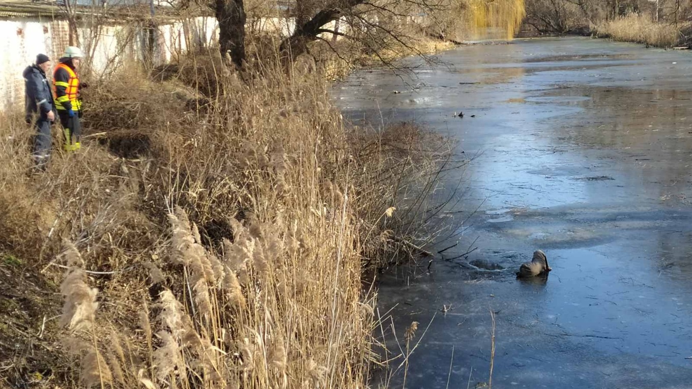 Старого пса у мішку викинули в річку. Його врятували
