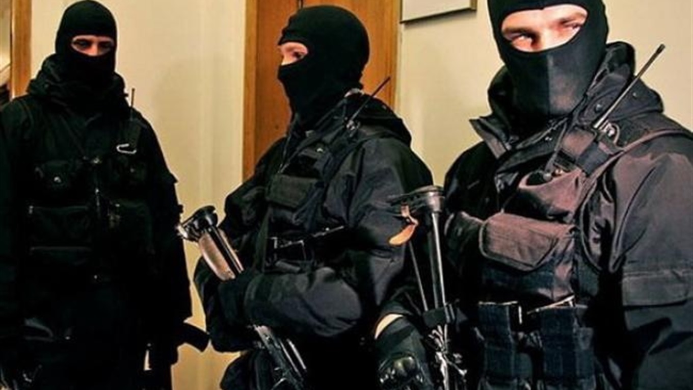 После моего эксперимента налоговая идет с большой проверкой в "Цитрус". 