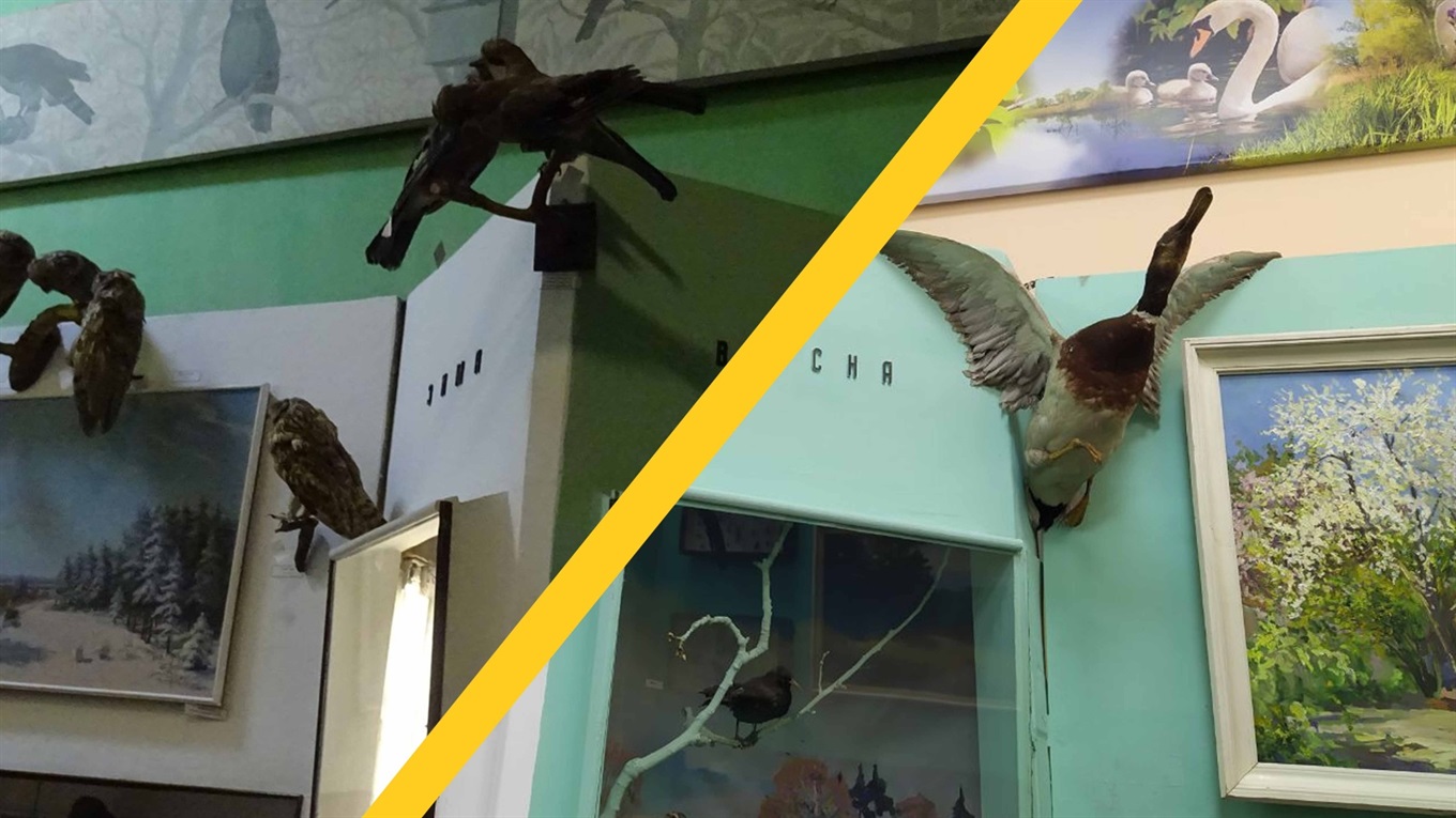 Як змінилися зали конотопського краєзнавчого музею після ремонту. Фото до та після