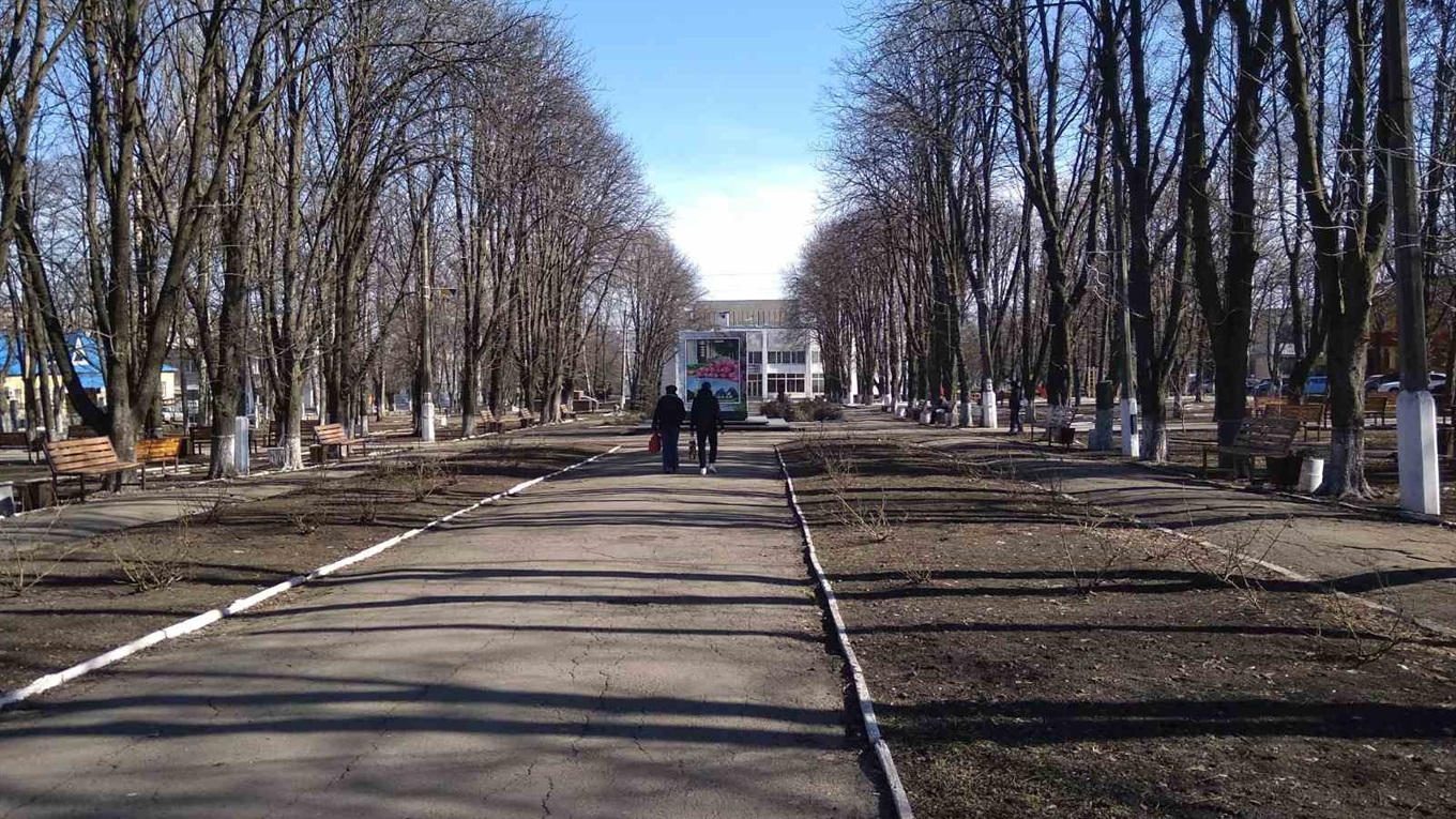 Взимку у Волновасі сухостою та сухих дерев прибрали на понад 100 тисяч гривень