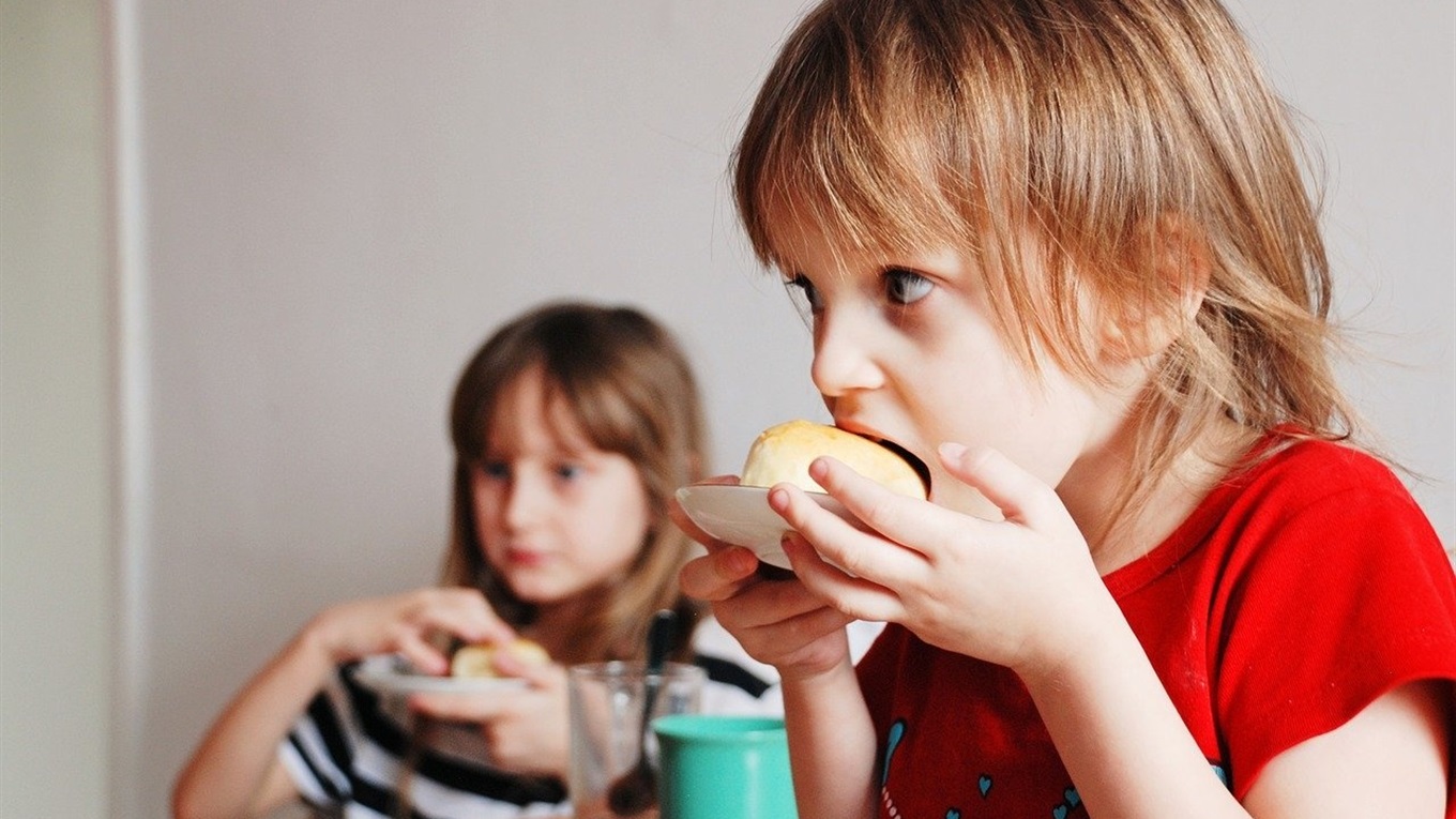 Гуляйпільська міськрада купує продукти для дитсадків, але невідомо, які саме та якої якості