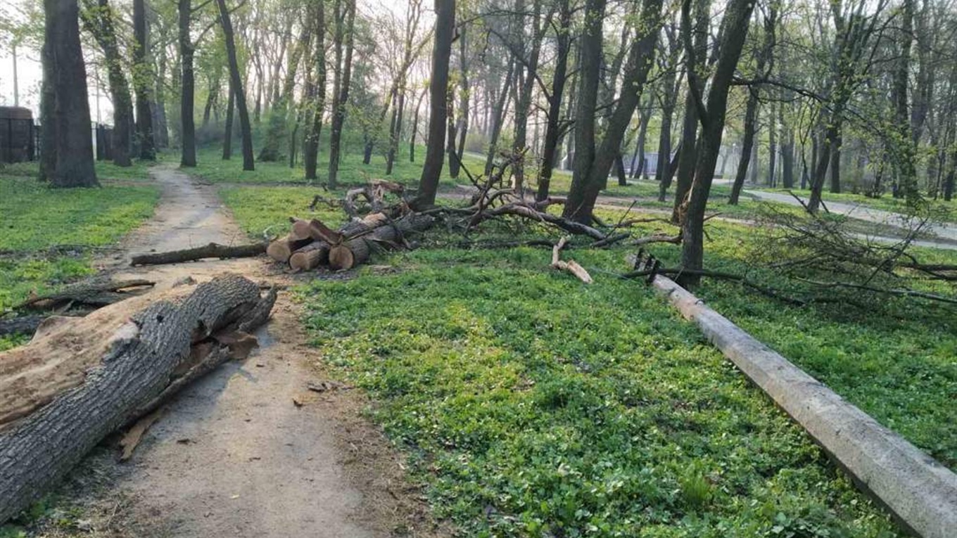 Буревій пошкодив у Кагарлику лінію електропередач, повалив дерева та зірвав шифер з багатоповерхівок