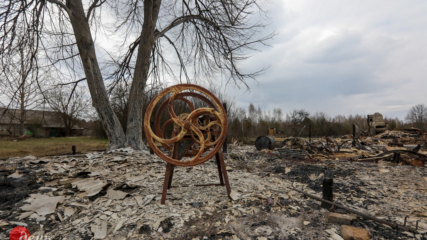 30 фото з лісових пожеж та згорілих українських сіл неподалік Чорнобильської зони
