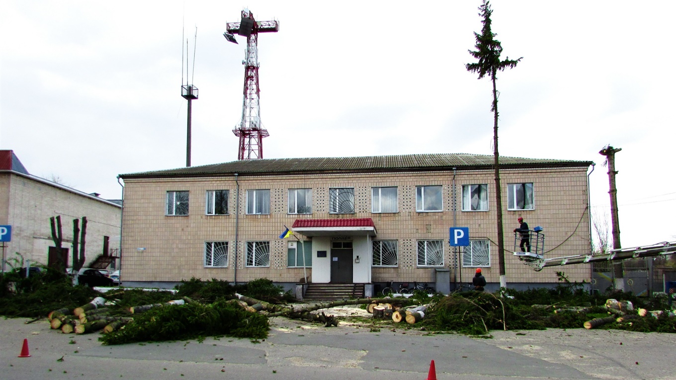У Корюківці біля поліції спиляли ялинки. Не всім містянам це сподобалося