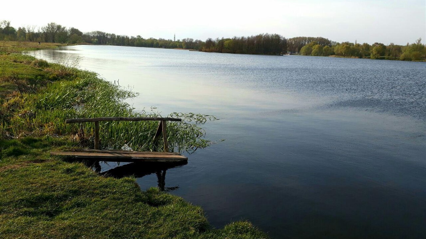 Фотофакт: за забір торфу біля Галенківки можна отримати штраф