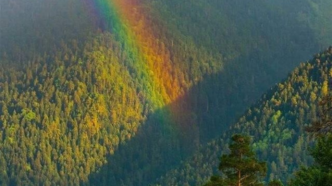Йдемо в гори: найпопулярніші маршрути Українських Карпат