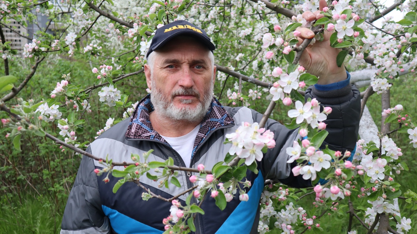 Вишневий сад. Історія про те, як житель Червонограда втілив свою мрію і приніс радість усім сусідам