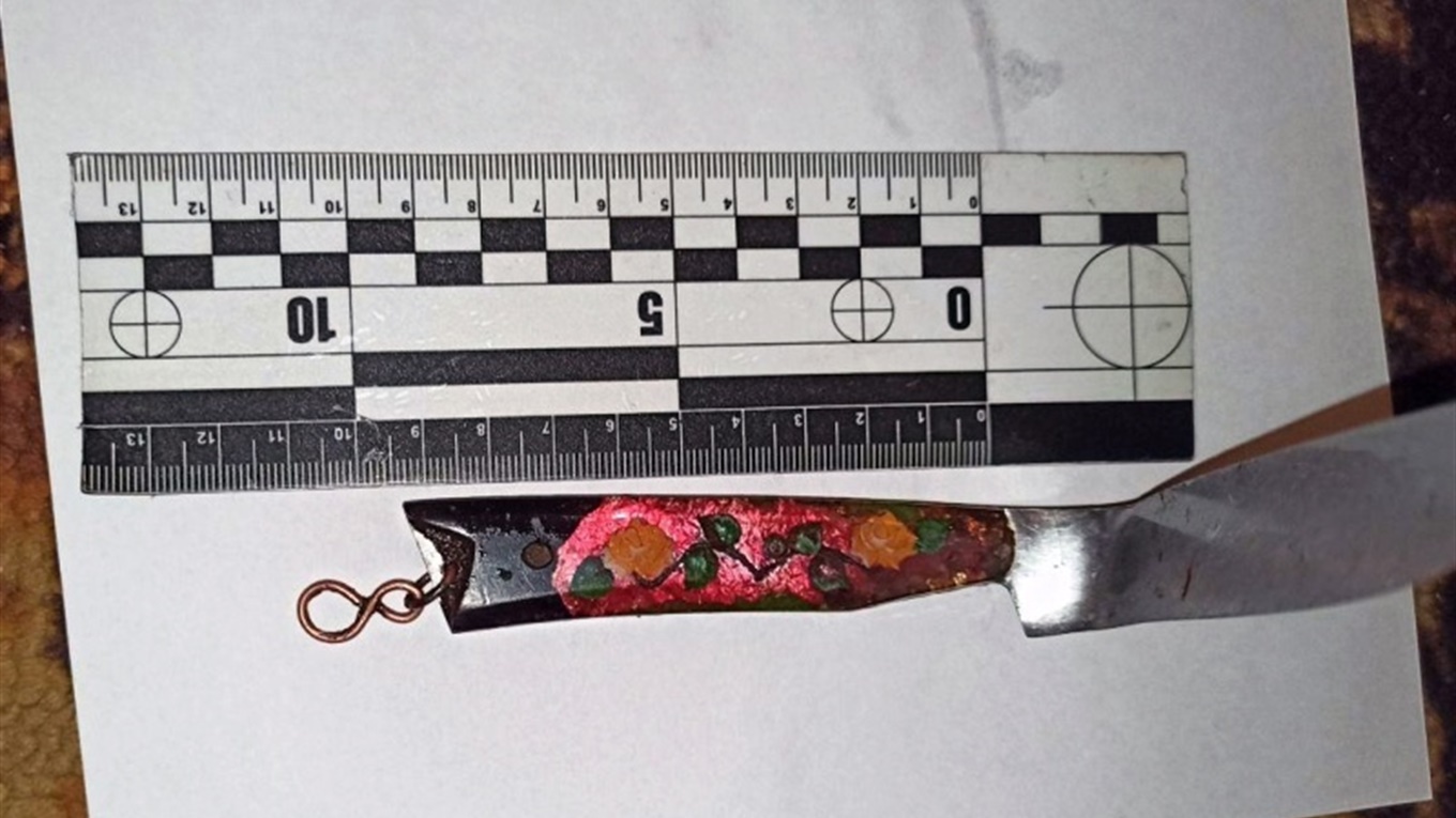 Добропільчанці, яка вдарила ножем кривдника своєї матері, загрожує 8 років тюрми