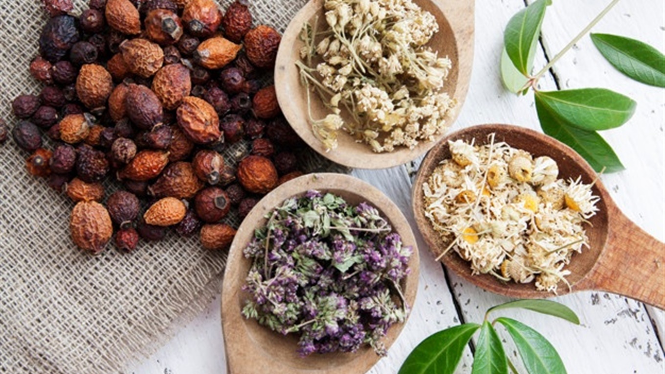 лікарські рослини-2