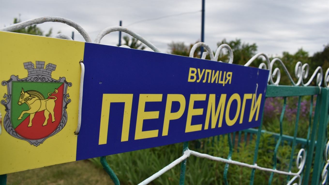 Мешканці вулиці Перемоги у Нижніх Сірогозах поділилися проблемами. Що пообіцяли у селишній раді