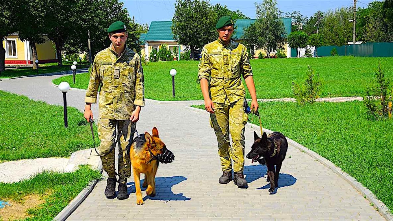 Немцы на границе: погранотряд Измаила пополнился кинологами