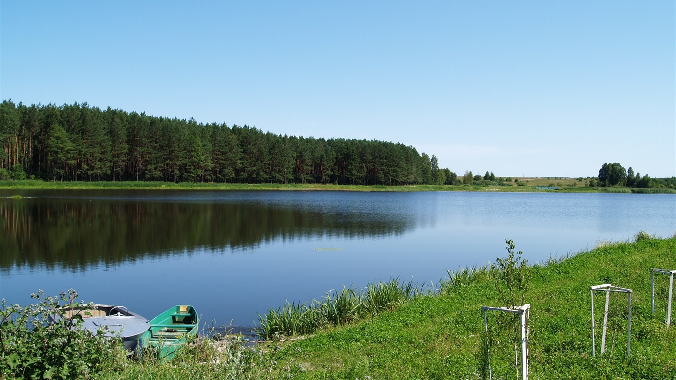 Чернігівці купують у Романівській Буді на Корюківщині дачі