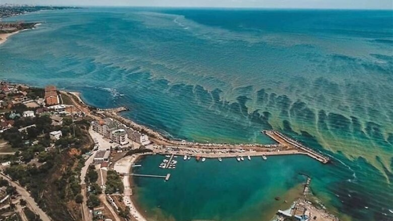 Іноді Чорне море зеленіє. Чому цвіте вода та чи безпечно в ній купатися
