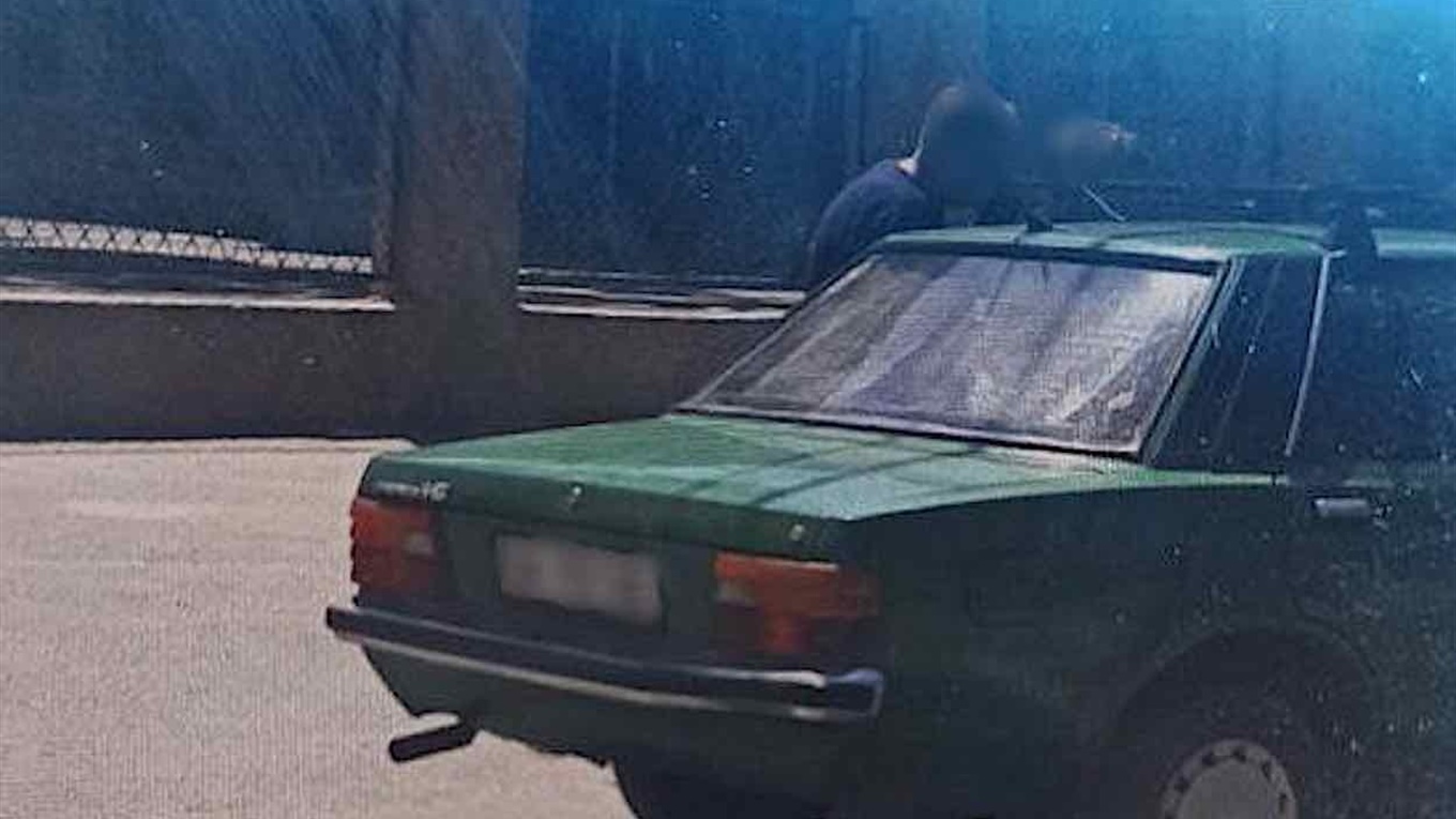 В Измаиле водитель после ДТП ограбил очевидца аварии