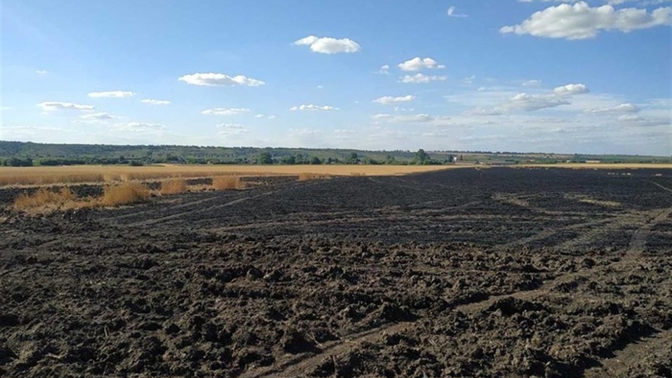 "Вогняні жнива": у підпалі пшеничного поля на Лозівщині підозрюють дітей