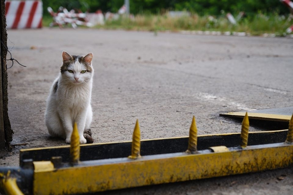 КПВВ на Донбассе
