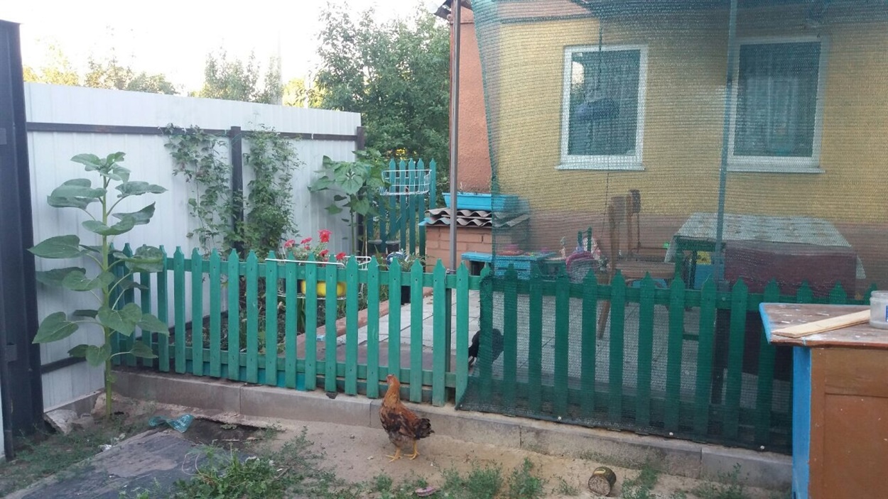 Хата Світлани Сазанської